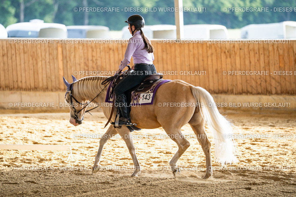 DSC07704 | Pferdegrafie