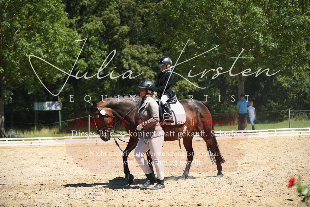 DSC_1839 | Pferde- und Turnierfotografie in Westsachsen. Pferdeportraits, Auftragszeichnungen und intuitive Kunst.