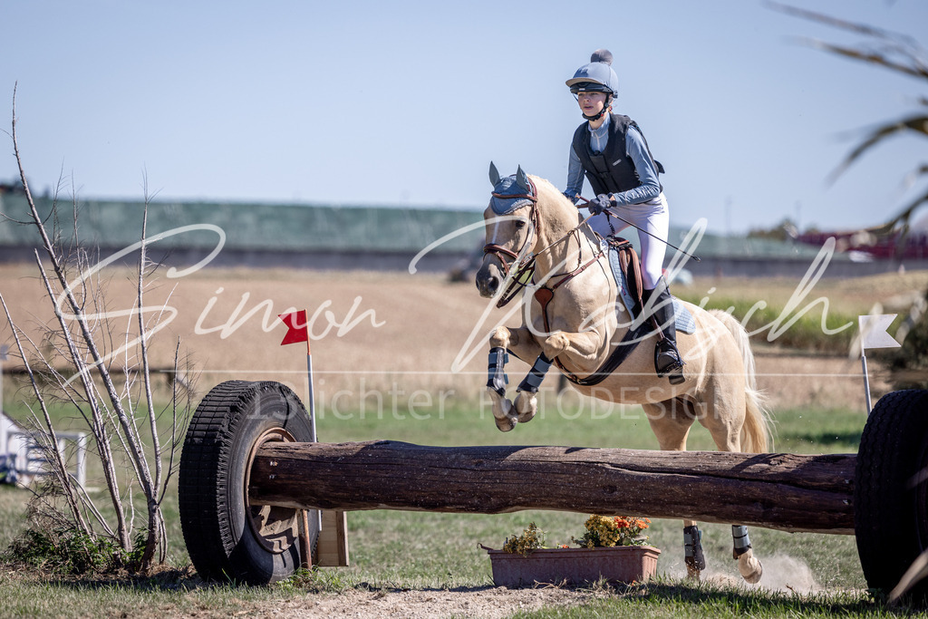 20260906-_3LI3679 | Tierfotografie Pferde, Hunde, Katzen, Haustiere.
Turnierfotografie Reitturniere, Reiten, Springreiten, Dressur in Hanau, dem Main-Kinzig-Kreis und dem Rhein-Main- Gebiet um Frankfurt