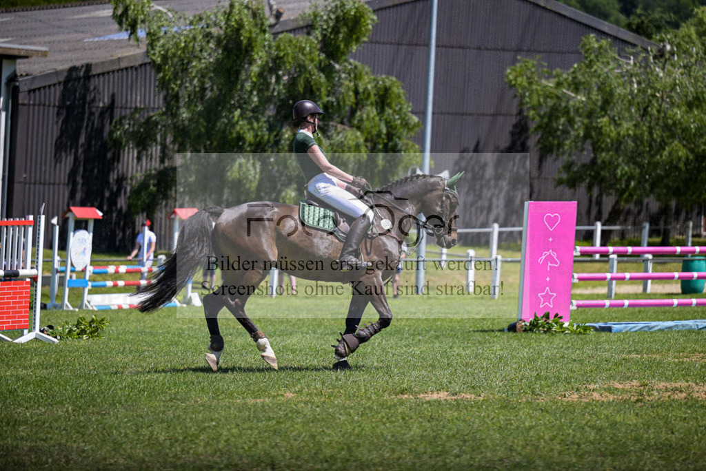 Reitturnier Voxtrup | Entdecke hochwertige Reitturnierfotos von Foto Oger. Professionell, emotional und authentisch – jetzt Lieblingsmomente im Shop bestellen. - Realisiert mit Pictrs.com