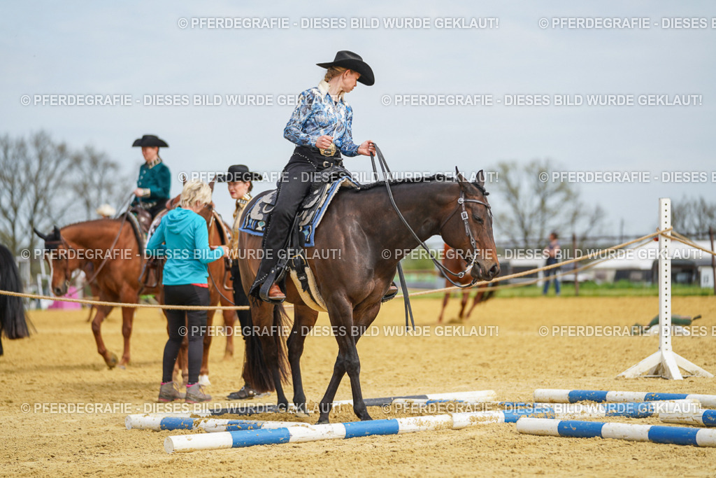 DSC03552 | Pferdegrafie