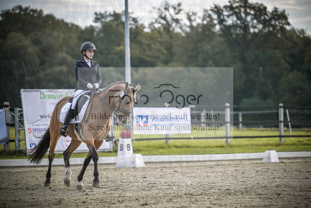 DOS_4346 | Entdecke hochwertige Reitturnierfotos von Foto Oger. Professionell, emotional und authentisch – jetzt Lieblingsmomente im Shop bestellen.Deutschlandweite Turnierfotografie. - Realisiert mit Pictrs.com