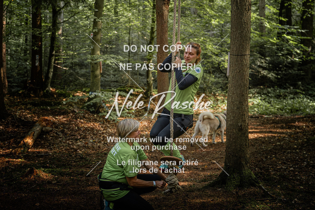 nelerasche_So1230-Ende_189 | nelerasche