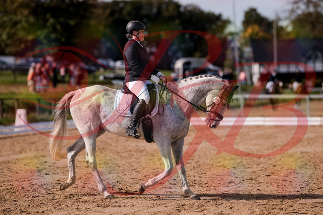 2026_10_03_Siefer-Hof_122810_Z81_26454786 | Professionelle Reitsport-, Turnier- und Eventfotografie von Robert Broda. Galerien mit ausgewählten und bearbeiteten Bildern direkt online ansehen und bestellen.