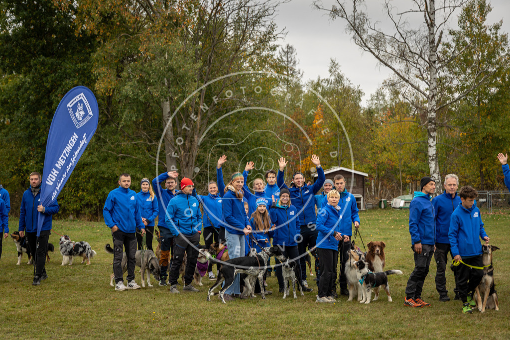 Pfotenfotografie_0L8A0331 | Hundefotografie, Tierfotograf, Pfotenfotografie, Fotoshooting Hund, Hunde Portrait, Hundesport, Hundeportraits, Heideshooting, Hunde, Sportfotograf, Hundefotograf, Turnierhundsport, THS,  - Realisiert mit Pictrs.com