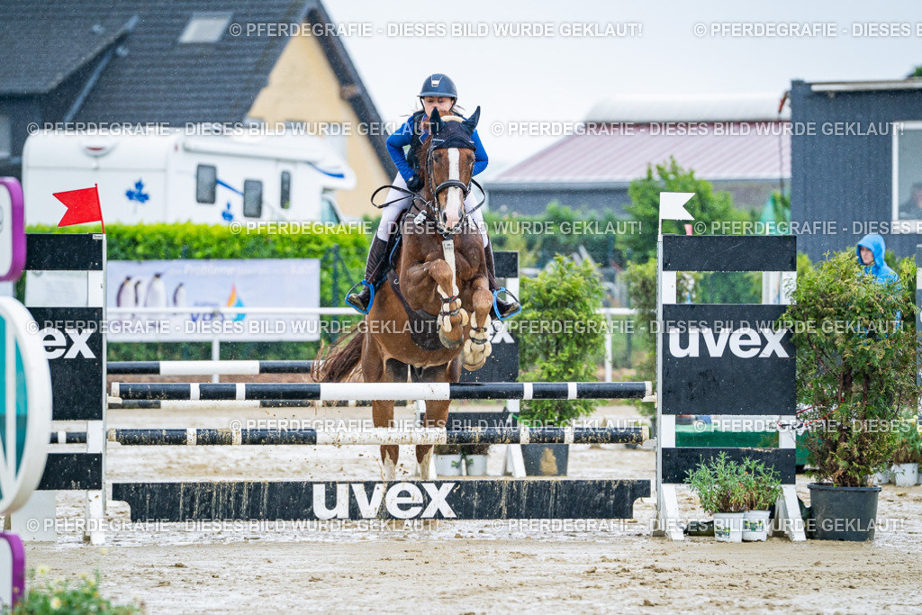 DSC03067 | Pferdegrafie