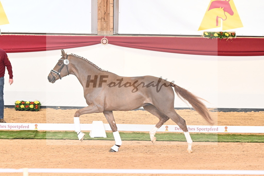 Kat.-Nr. 62 v. Shu Fu_Fischer_2240940 | hf-fotografie - Realisiert mit Pictrs.com