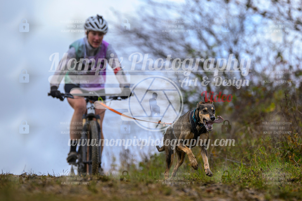 MompixPhotography_2OATB_SO_Bike-51 | PayLife