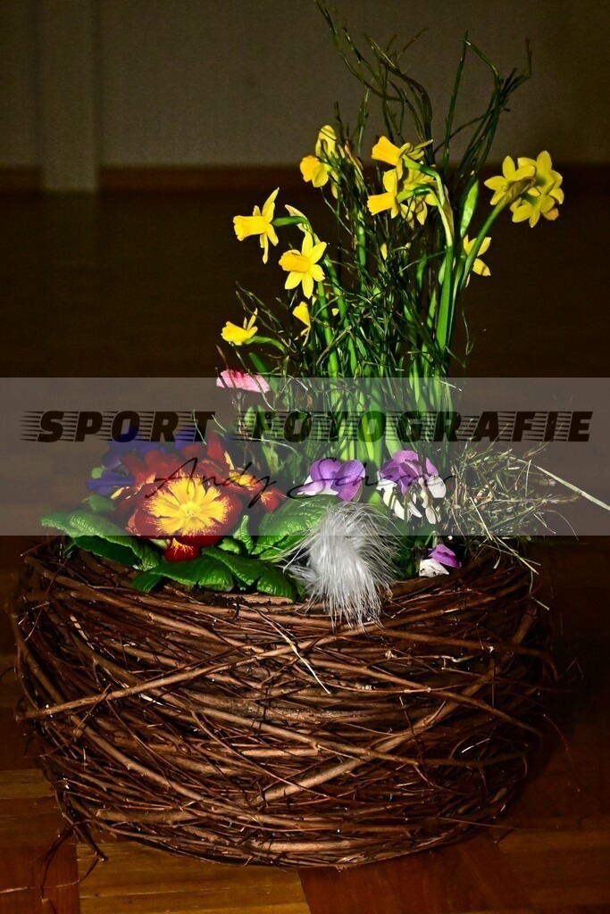 DSC_9764 | Kaufen Sie Sportbilder im Onlineshop von Andy Scherrer Sportfotografie. Faszinierende Bilder von Sportevents aus der ganzen Schweiz. Fussball, Frauenfussball, Unihockey, Handball, Schwingen und weiteren Sportarten. - Realisiert mit Pictrs.com