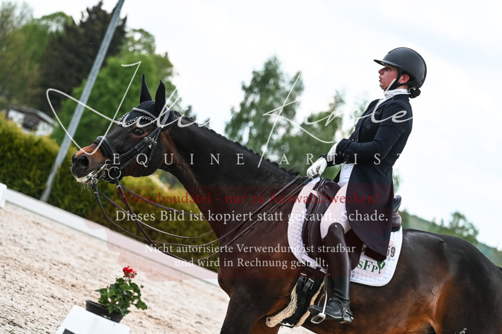 20230514_JK-Röhrsdorf-20-280 | Pferde- und Turnierfotografie in Westsachsen. Pferdeportraits, Auftragszeichnungen und intuitive Kunst.