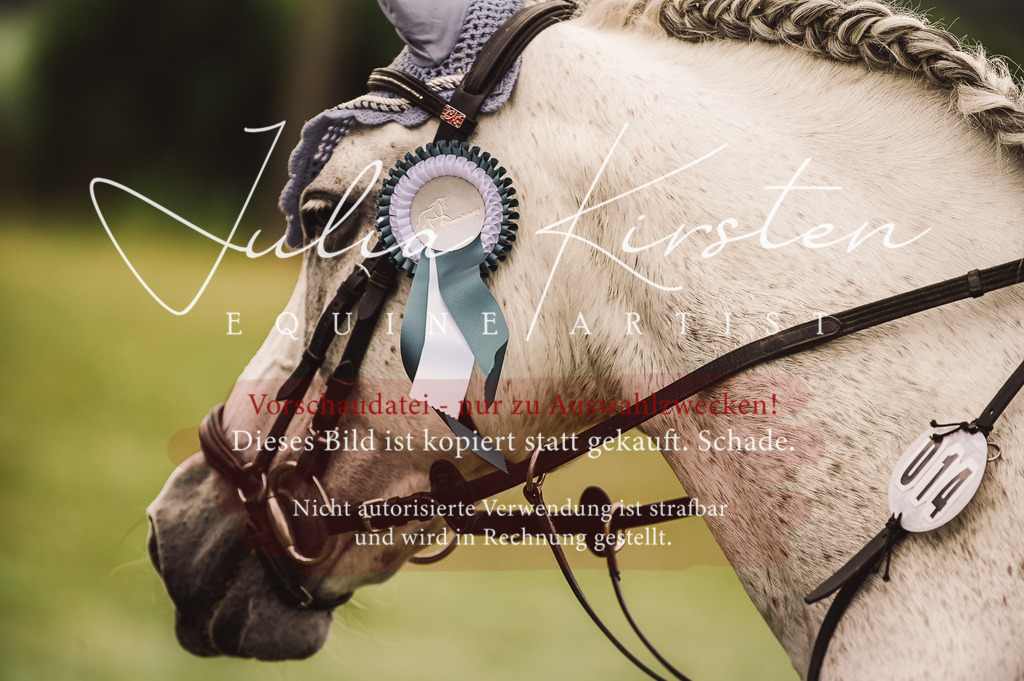 DSC_7017 | Pferde- und Turnierfotografie in Westsachsen. Pferdeportraits, Auftragszeichnungen und intuitive Kunst.