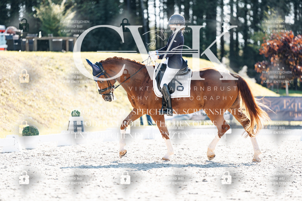 CK905476 | Turnierfotografie Pferdefotografie Trier Rheinland-Pfalz Pferdesport Reitsport Tierfotografie Sportfotografie Pferdevideo Pferdevideografie Equestrianvideography equestrianphotography  - Realisiert mit Pictrs.com