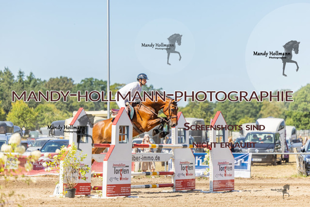 26-8-9 SPR M-36 | mandyhollmannphotographie