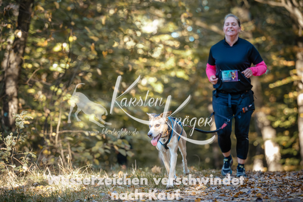 1029_ZZ90012 | kk-dogfotos