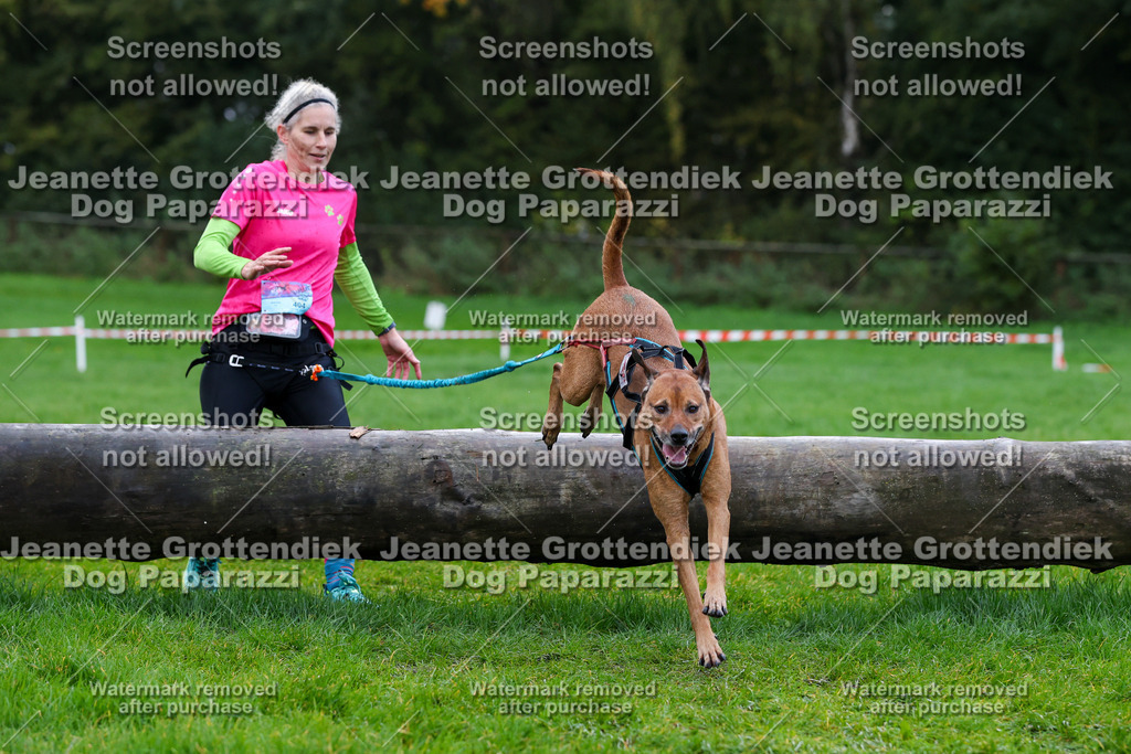 Dog Paparazzi -  SD1026-1331 | Dog Paparazzi Jeanette Grottendiek Fotografie & Videografie - Realisiert mit Pictrs.com