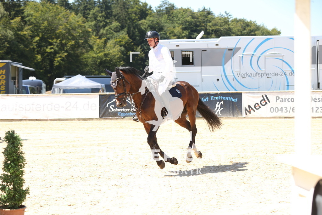 DL2Q9015 | Willkommen bei Brunnmayr - Design & Fotografie – Ihrem Spezialisten für Reitturniere und Pferdeveranstaltungen in Oberösterreich, Salzburg und Bayern! Seit über 17 Jahren sind wir leidenschaftlich dabei.