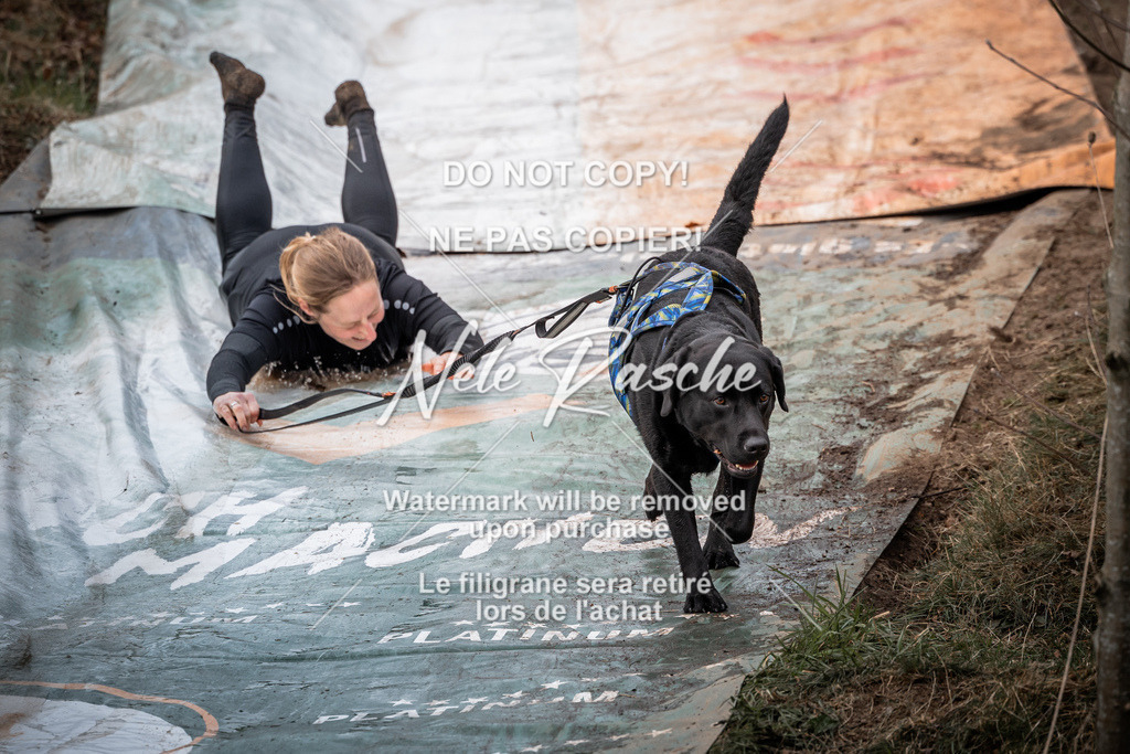 nelerasche_1330-1400_244 | nelerasche