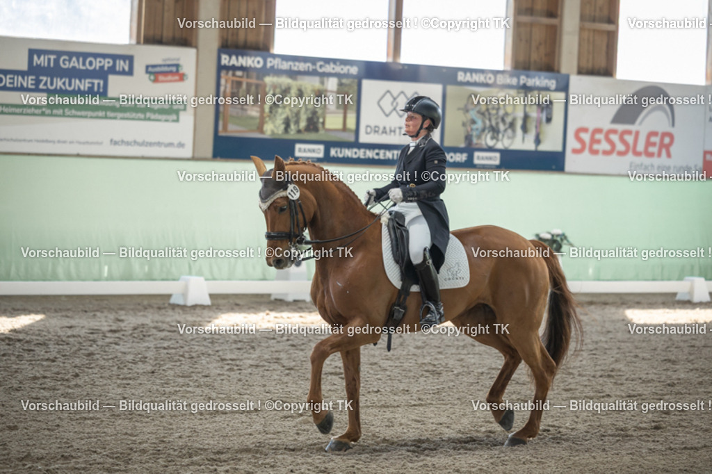 _D5A0147 | Emotionale Pferde- & People-Fotografie rund um Heidelberg, Leimen & Umgebung. Natürliche Fotos von Pferd, Mensch & Familie. Jetzt Termin sichern!