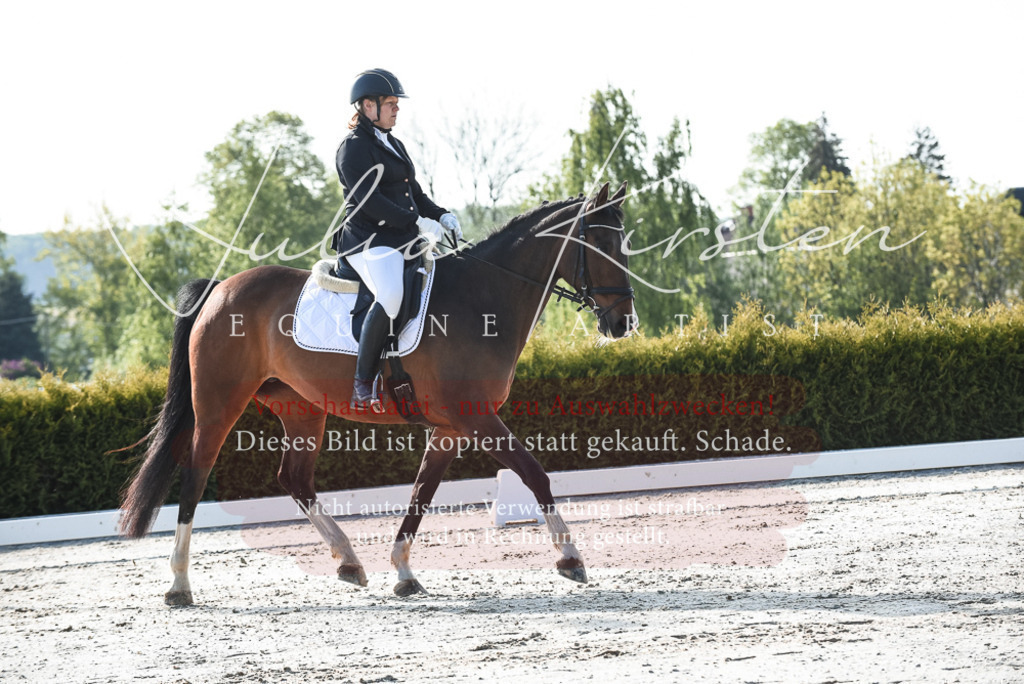 20230518_JK-Röhrsdorf-09-0713 | Pferde- und Turnierfotografie in Westsachsen. Pferdeportraits, Auftragszeichnungen und intuitive Kunst.