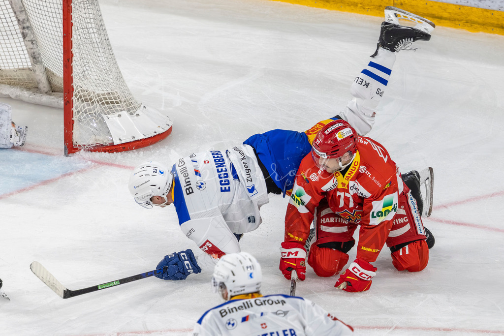 EHCB vs EVZ 20260227_WB-7245 | Sportbilder, Sportfotograf, Hochzeits- und Eventfotografin, Flugshows, Portraits und Tiershooting, Aviation, Downhill, Nationalleague, Swissleague, International