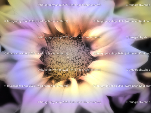 titusgraphy-P6100535_var-138 | Fotokunstarbeit aus der INSTAGRAM-Gallerie auf titusgraphy.eu - Realisiert mit Pictrs.com