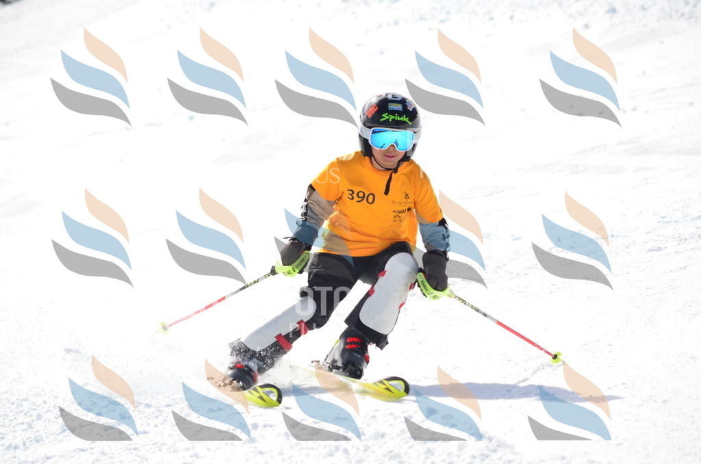 C8786 | holidayphoto