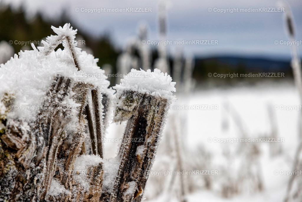 _J3A6731 | medienkrizzler - Realisiert mit Pictrs.com