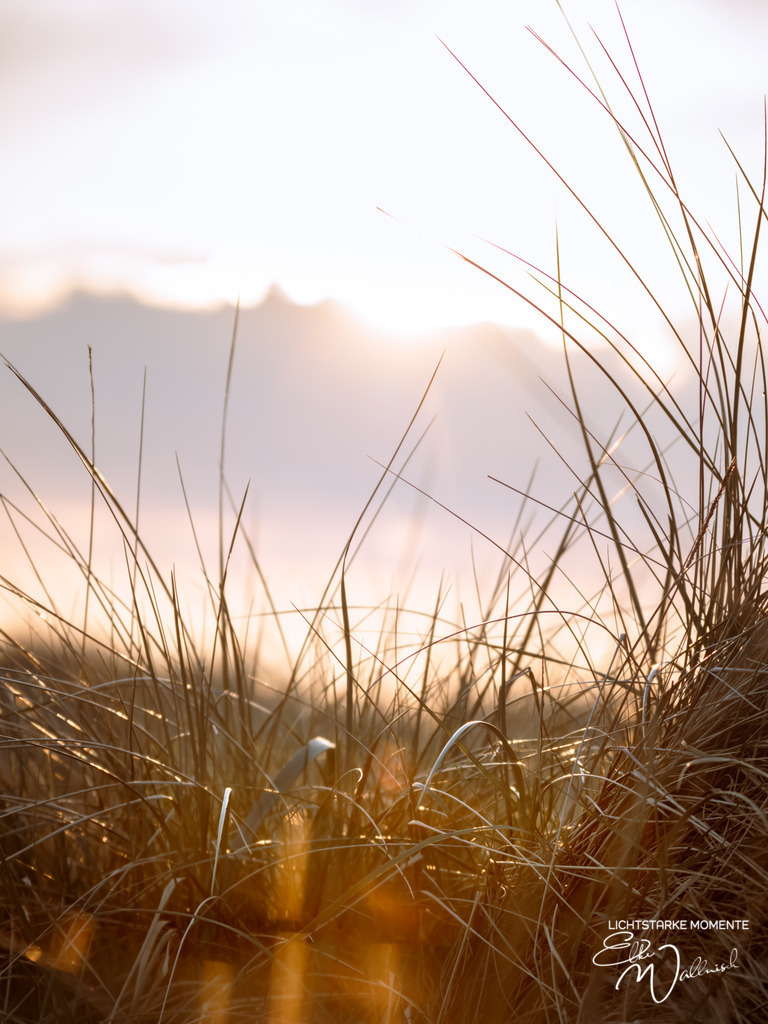 20240507-201140 NORDSEE SPO _246-1 | Herzlich willkommen auf meiner Seite! Ich bin Elke Wallnisch, Deine Fotografin für lichtstarke Momente. Der Name steht für alles, was mich mit der Fotografie verbindet: Das Licht und seine machtvolle Wirkung auf eine Situation oder unsere Stimmung - Realisiert mit Pictrs.com