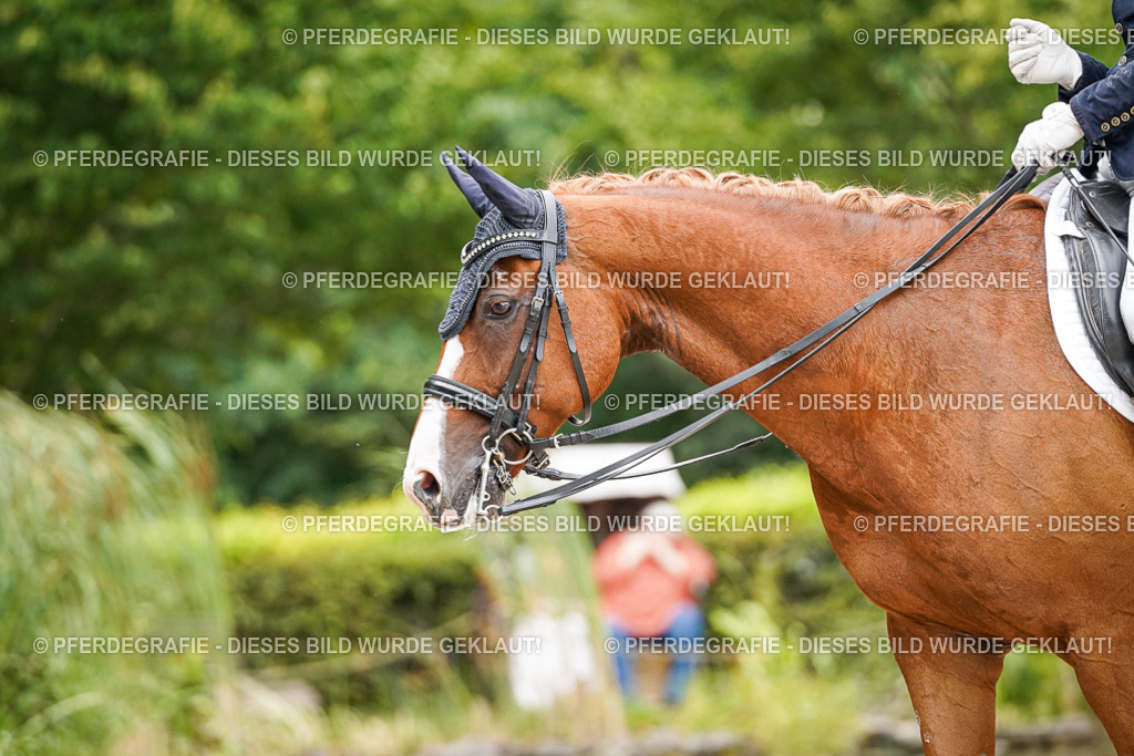 DSC07024 | Pferdegrafie