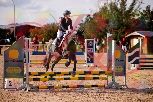2026_10_03_Siefer-Hof_154911_Z81_67540820 | Professionelle Reitsport-, Turnier- und Eventfotografie von Robert Broda. Galerien mit ausgewählten und bearbeiteten Bildern direkt online ansehen und bestellen.