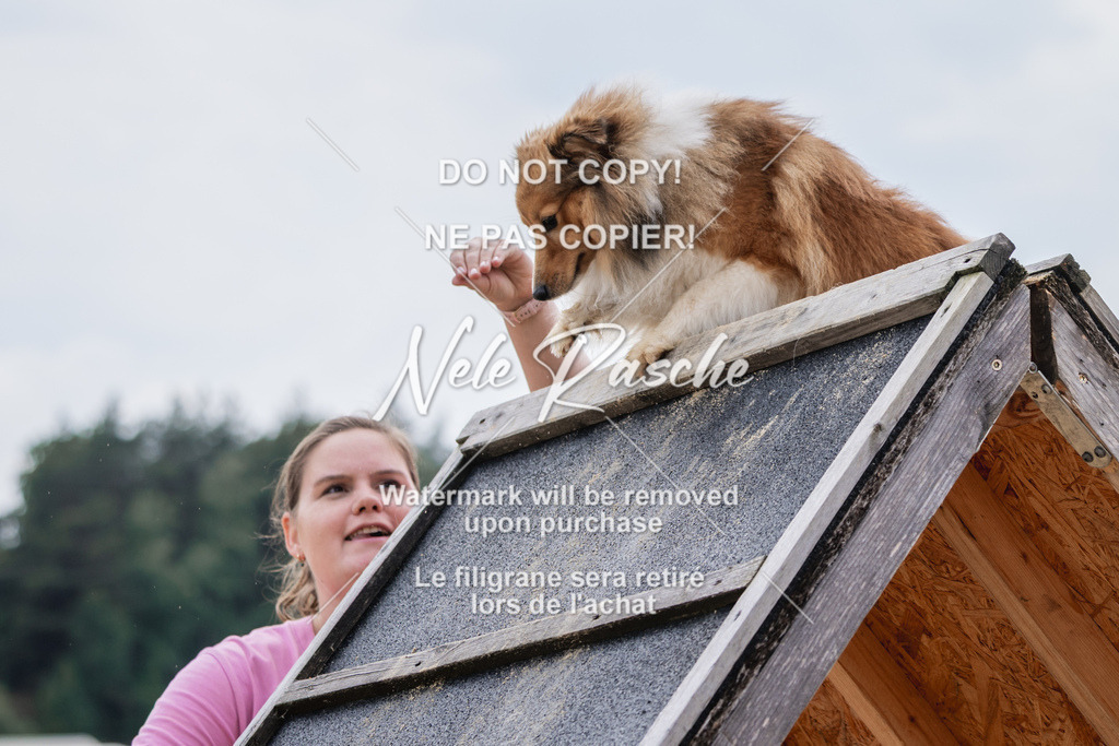 nelerasche_BuHu2026_So1530-Ende_153 | nelerasche