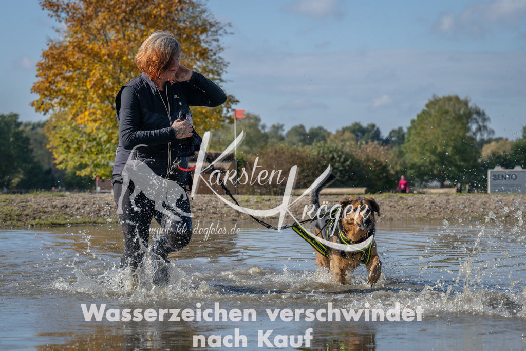 1309_ZZ94926 | kk-dogfotos