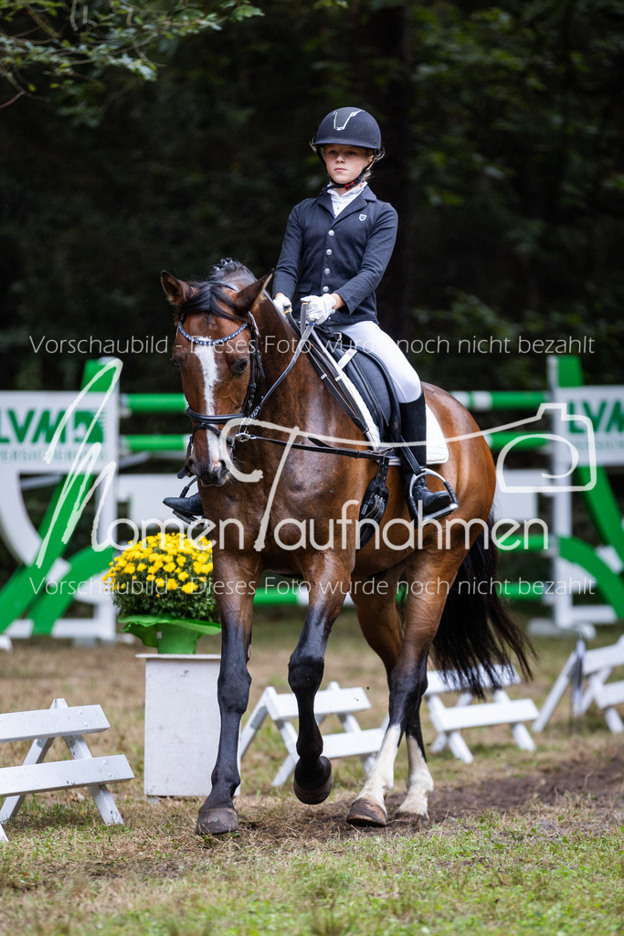 HB-Reiter-WB-005 | MomenTaufnahmen Pferdesportfotos