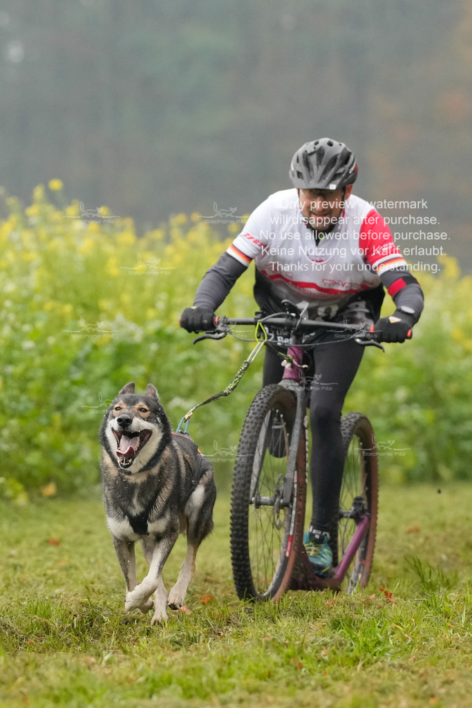 AusschnitteSa-29 | stephaniefillaphotographie - Realisiert mit Pictrs.com