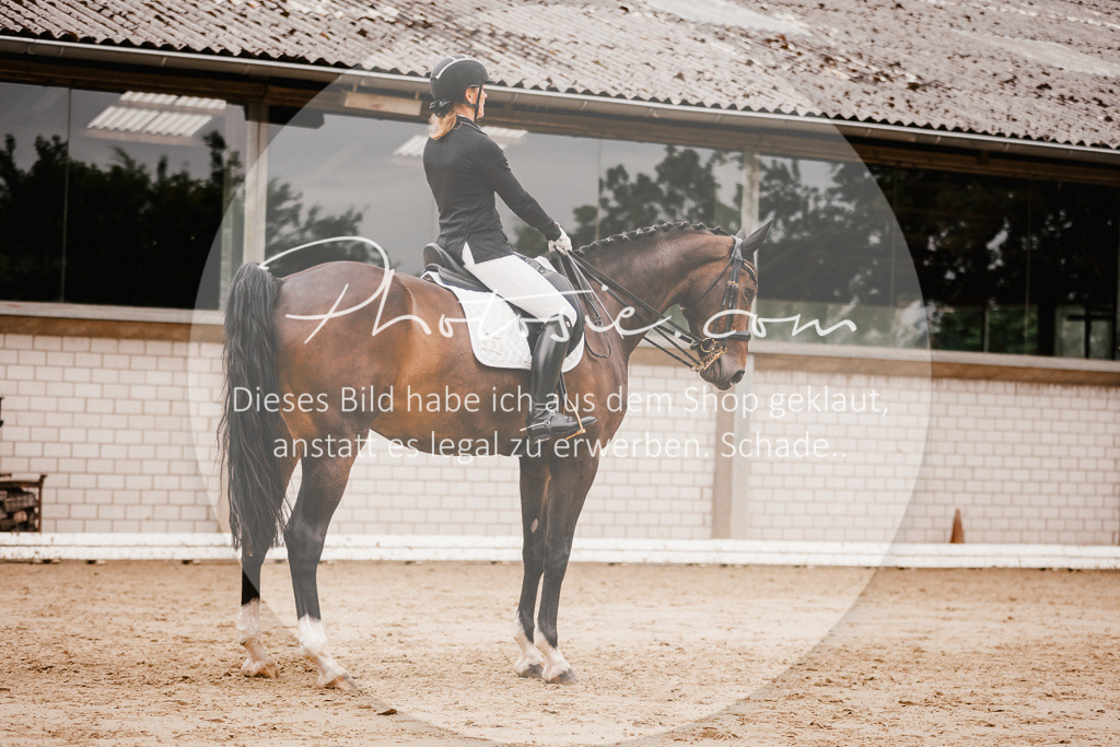 3I6A7821 | Stimmungsvolle Portraits und Reitsportfotografie im Ruhrgebiet und im Münsterland.

Pferdefotografie, Hundefotografie, Tierfotografie, Reportagen, Portraits von Tier und Mensch, Turnierfotografie in Bochum, Recklinghausen, Marl, Haltern am See, Dülmen.. - Realisiert mit Pictrs.com