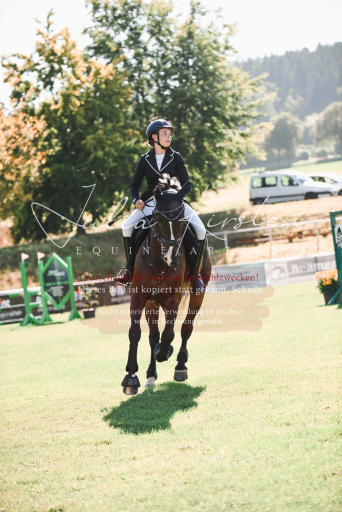 DSC_2505 | Pferde- und Turnierfotografie in Westsachsen. Pferdeportraits, Auftragszeichnungen und intuitive Kunst.