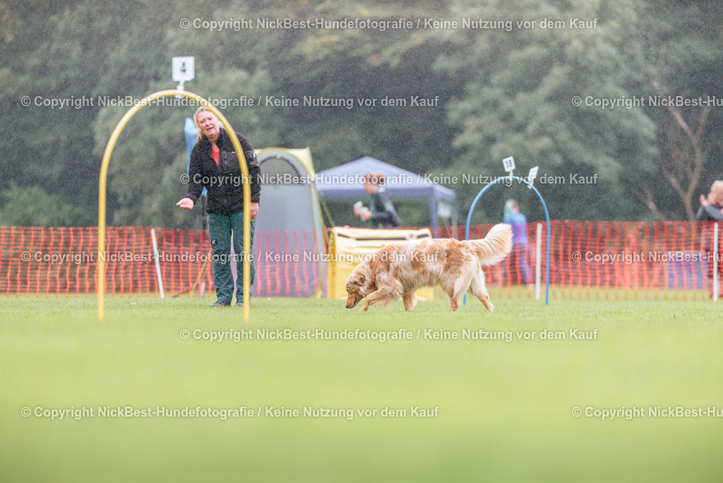 BSP Hoopers-H2-2026-Nickbest-Hundefotografie-TuS Komet Arsten e.V.-4479 | Dein Hund! Dein Moment! Deine Erinnerungen! Hundefotografie in Bremen Blumenthal. Ich fange die besonderen Momente deines Vierbeiners ein – ob Indoor mit Blitzanlage oder in der freien Natur. Sicher dir dein Moment und dein Termin für eure Erinnerungen.