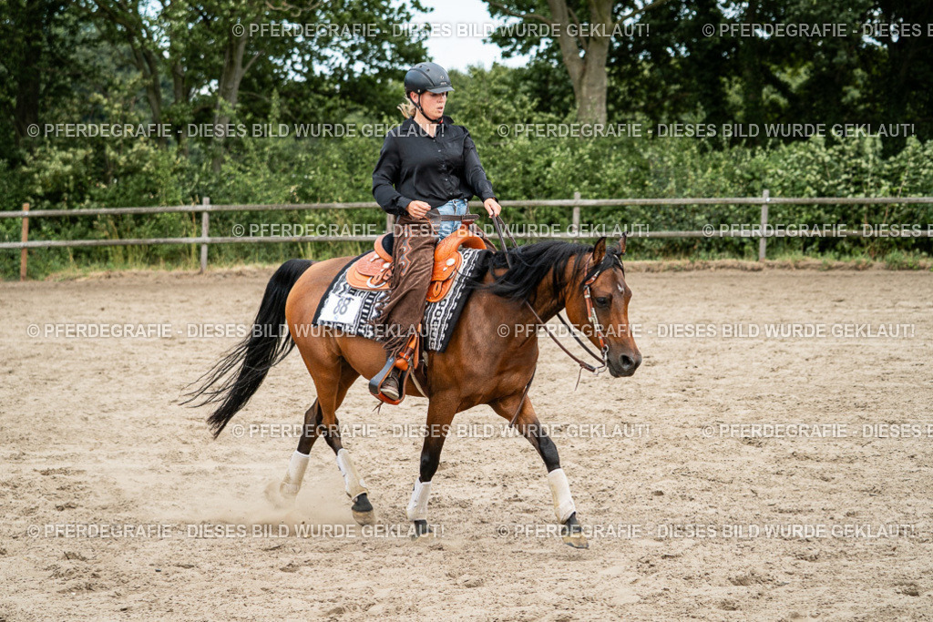 DSC02037 | Pferdegrafie