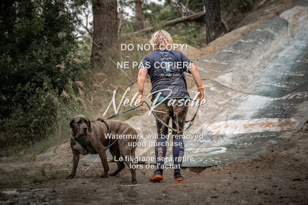 nelerasche_sa1300-1345_120 | nelerasche