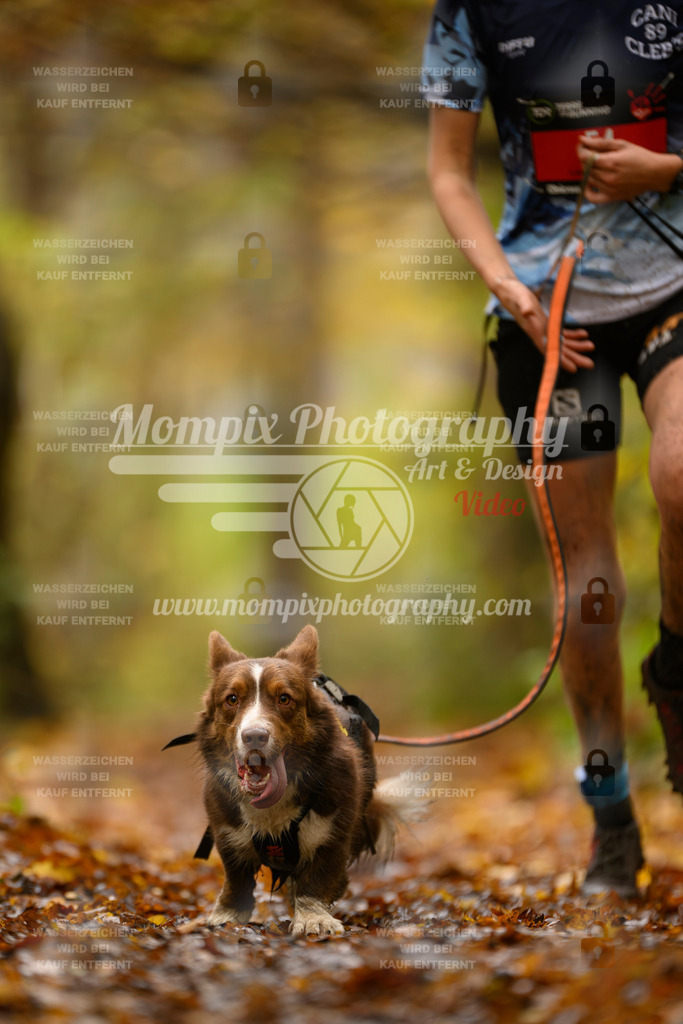 MompixPhotography_CD7S_DI_CCL-27 | mompixphotography