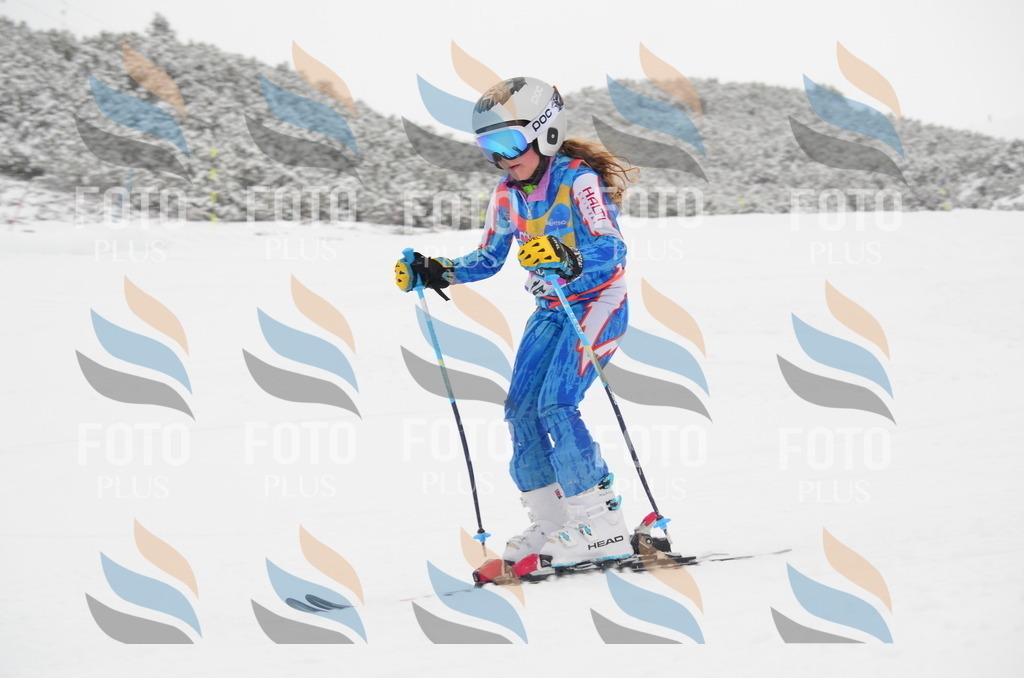 C0627 | holidayphoto