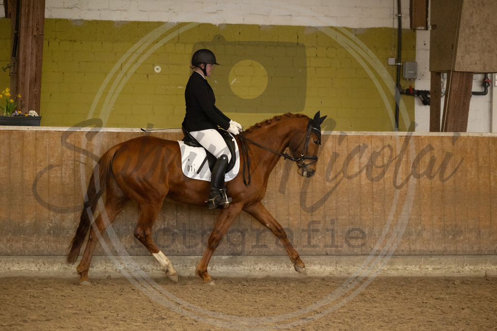 994A9373 | sabrinanicolaifotografie - Realisiert mit Pictrs.com