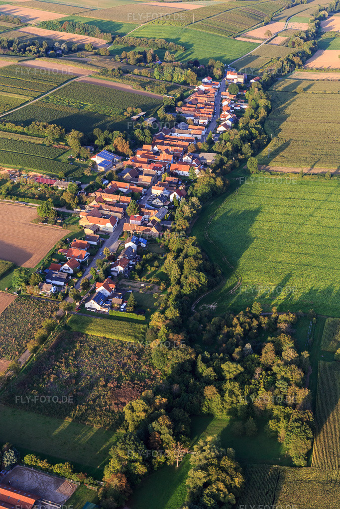 Luftbild: Ortsansicht aus Südwesten in Vollmersweiler im Bundesland Rheinland-Pfalz in Deutschland. Foto: IMG_129364.jpg vom 12.09.2021 durch Werner Riehm/FLY-FOTO.de