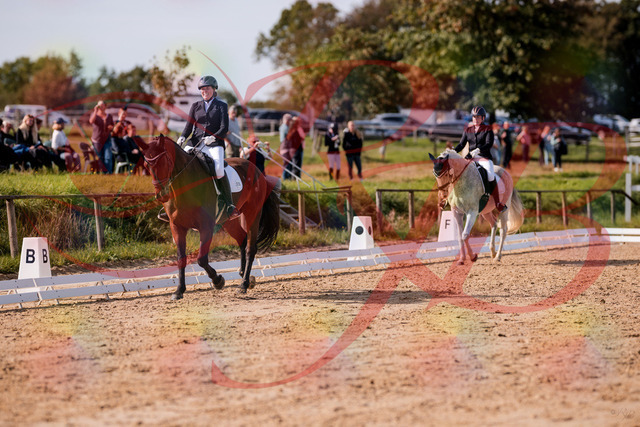 2026_10_03_Siefer-Hof_123006_Z81_28695010 | Professionelle Reitsport-, Turnier- und Eventfotografie von Robert Broda. Galerien mit ausgewählten und bearbeiteten Bildern direkt online ansehen und bestellen.