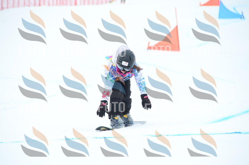 DSC_2103 | holidayphoto