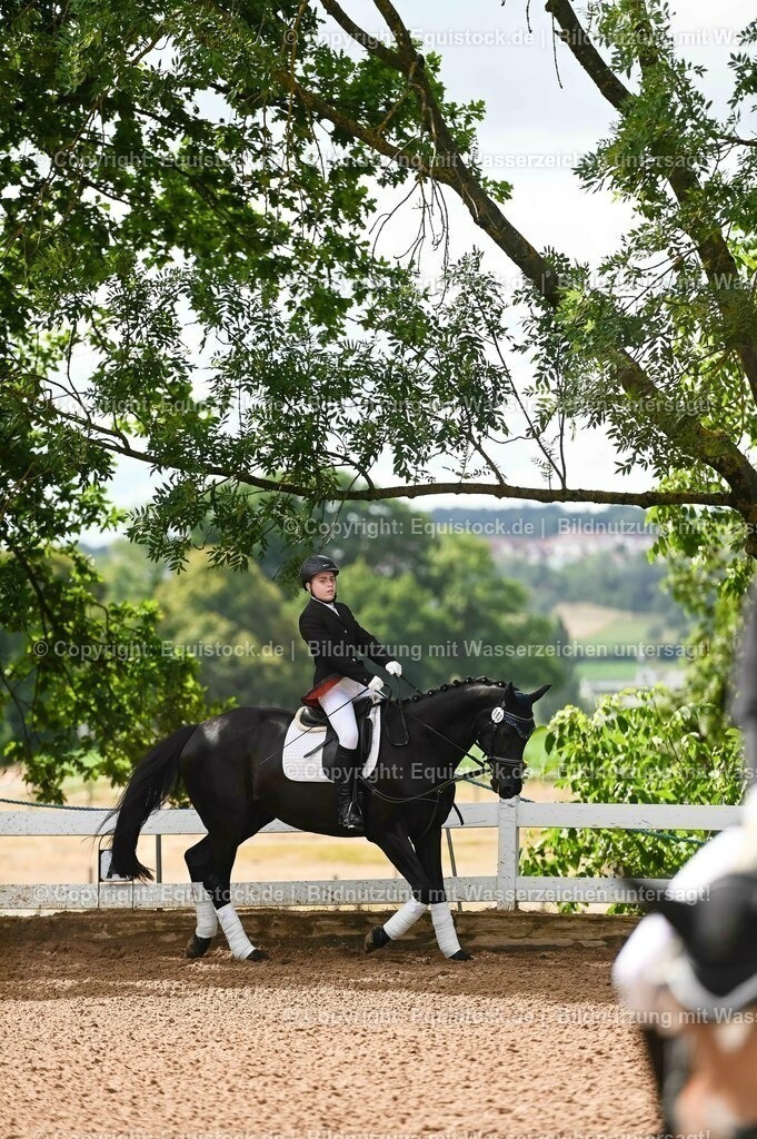 20230716_10-1_Reiter-WB Schritt - Trab - Galopp_0154 | equistock