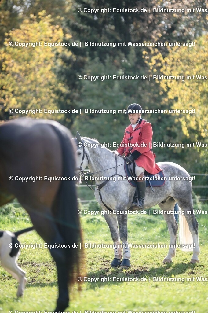 20251011_Jagd-Marbach_0154 | Foto: Thomas Hartig