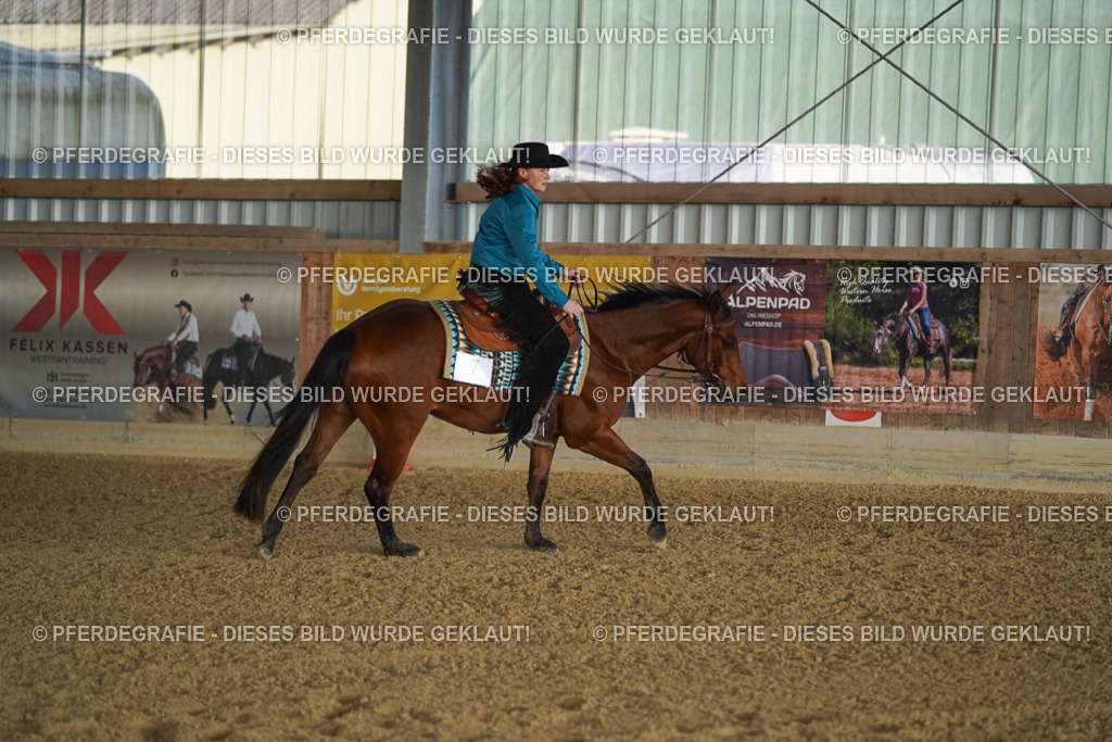 DSC08072 | Pferdegrafie