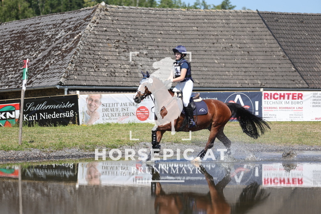 0P6A3491 | Willkommen bei Brunnmayr - Design & Fotografie – Ihrem Spezialisten für Reitturniere und Pferdeveranstaltungen in Oberösterreich, Salzburg und Bayern! Seit über 17 Jahren sind wir leidenschaftlich dabei.