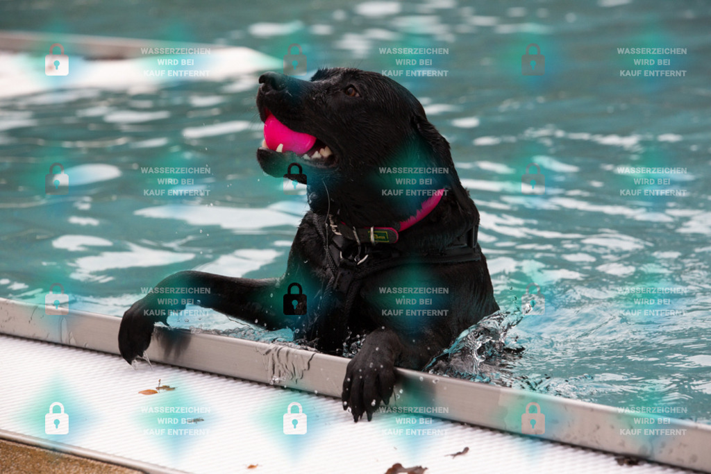 _HP_7513_1000o | HetPix, HetPix Fotodesign, Fotografie, Fotodesign, Webshop, Sportfotografie, Portraitfotografie, Onlineshop, Sportfotografie, Polch, Motorsportfotografie, Eventfotografie